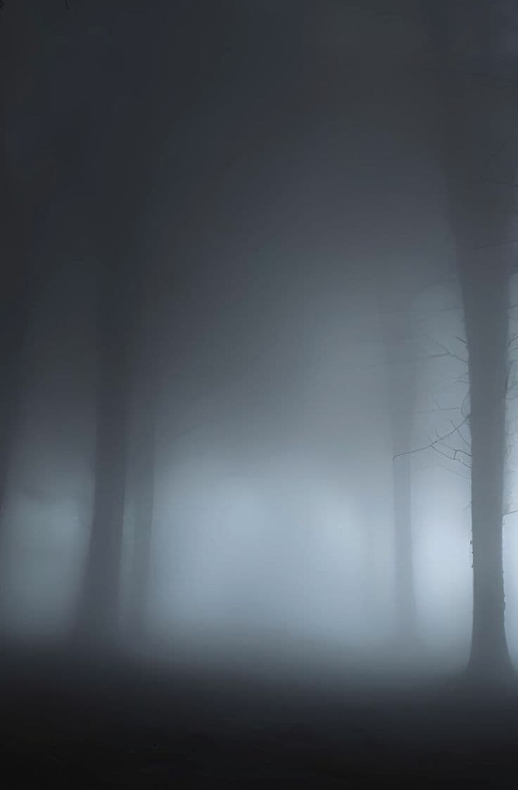 Expecting to only see animals I set up a ring camera pointing into the woods behind my house.